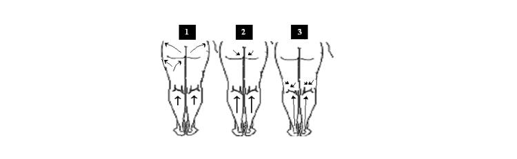 臀部及腿部操纵手段图